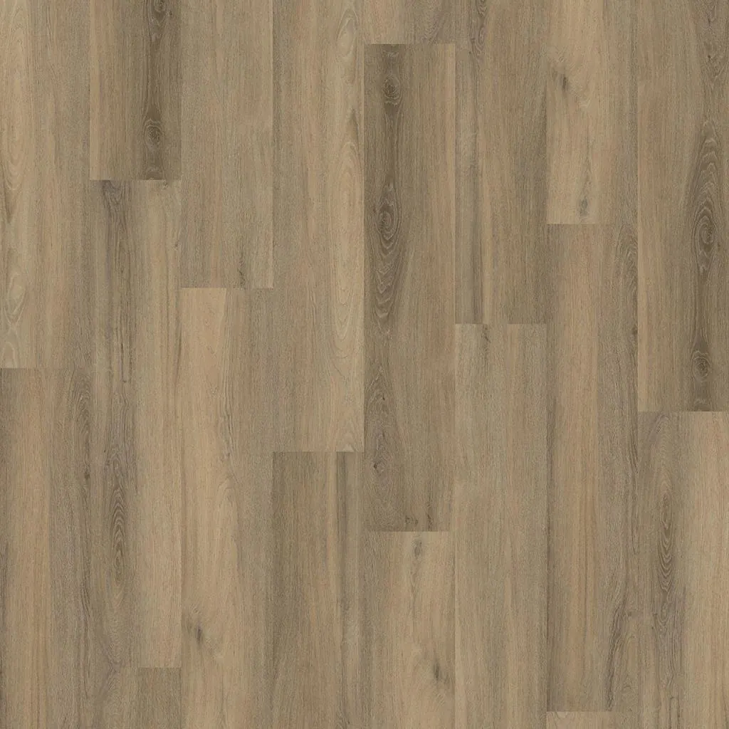 Talvion Forma 4502 — productbeeld